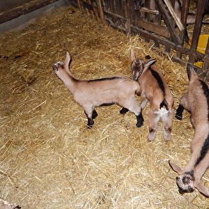 DSCN1623.jpg